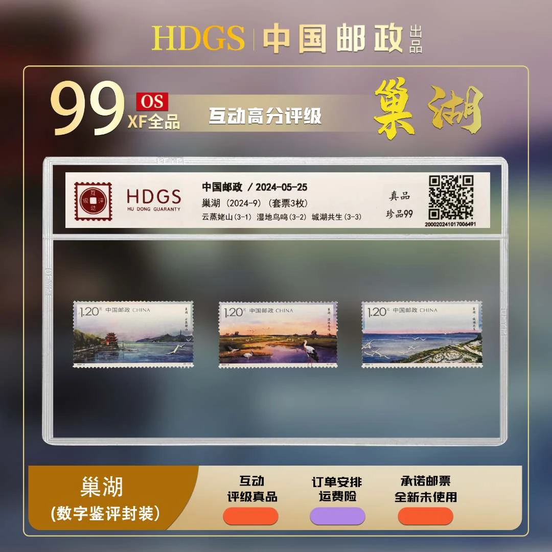 中国邮政—《五大淡水湖-巢湖》套票3枚 珍品99分 数字鉴评 百倍放大