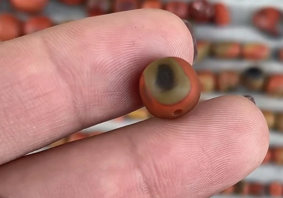 九口包浆黄皮包浆卡10