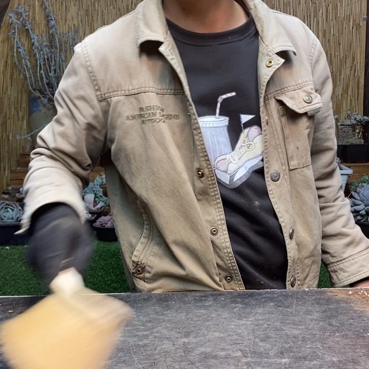 琪***1354 号金蝉多肉植物