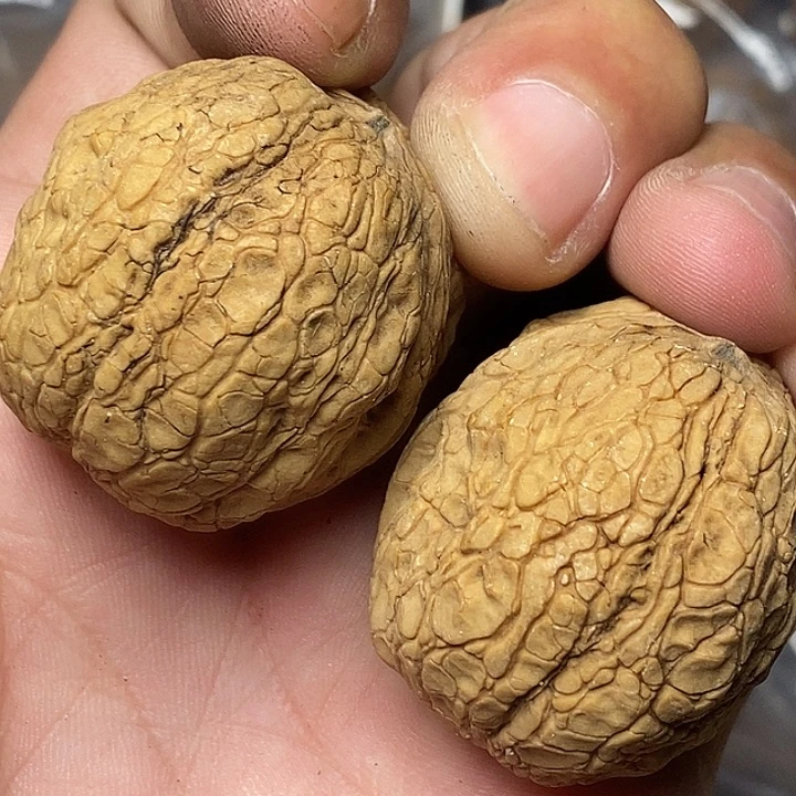 文玩核桃把件云南铁核桃51
