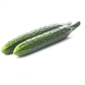 【东胜同城】新鲜水黄瓜480g~500g