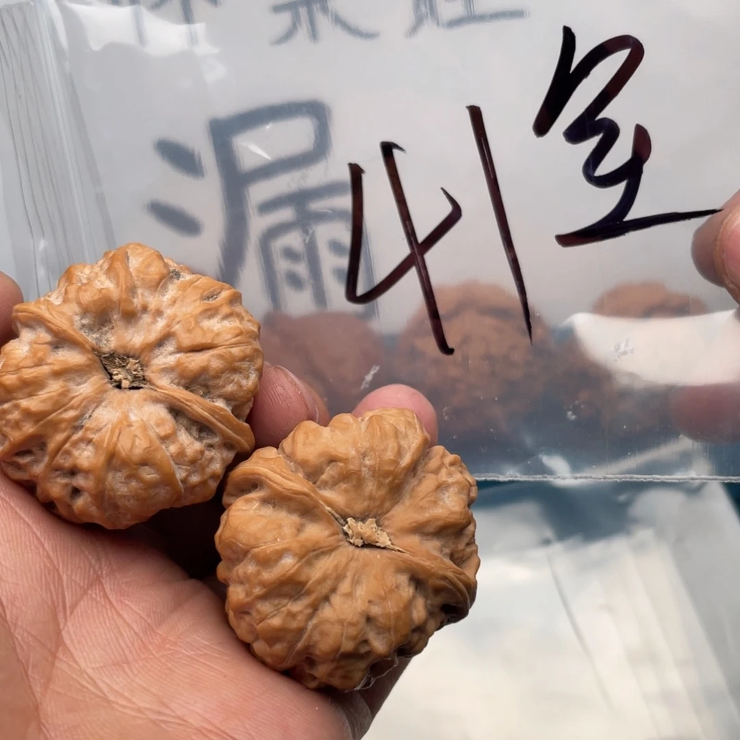核桃手串/手链W368496846648469
