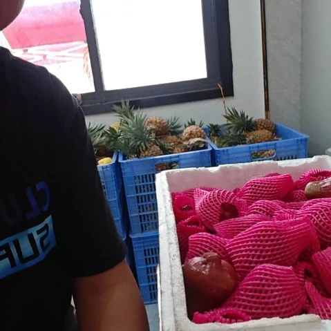 黑珍珠莲雾汁水多香甜脆口