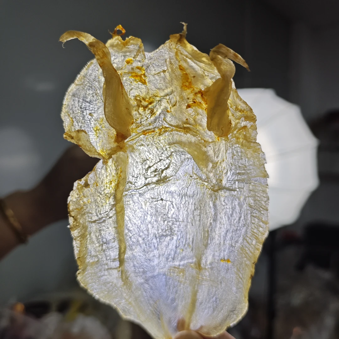 24头左右苏老北海公胶 1g