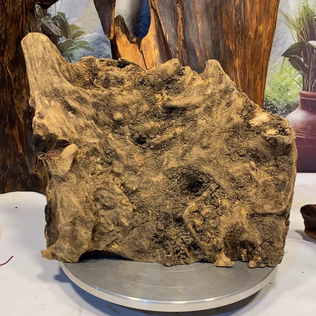 双***丿木花果香摆件摆件家居客厅装饰品