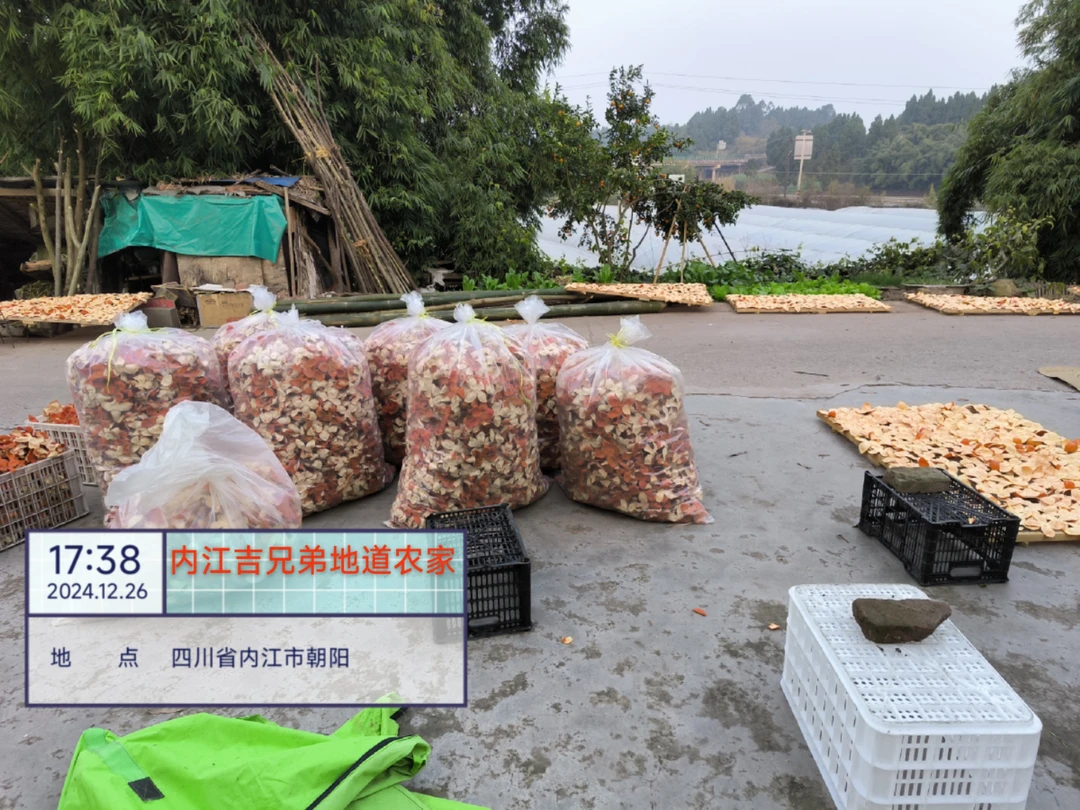 四川大红袍品种红橘川陈皮中药材陈允斌老师推荐内江资中老树红桔