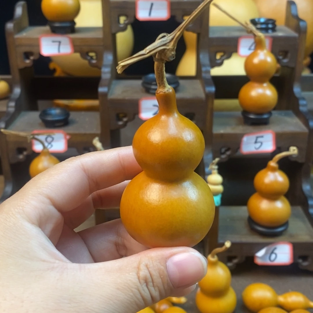 你***哥木咕噜咕噜咕噜咕噜