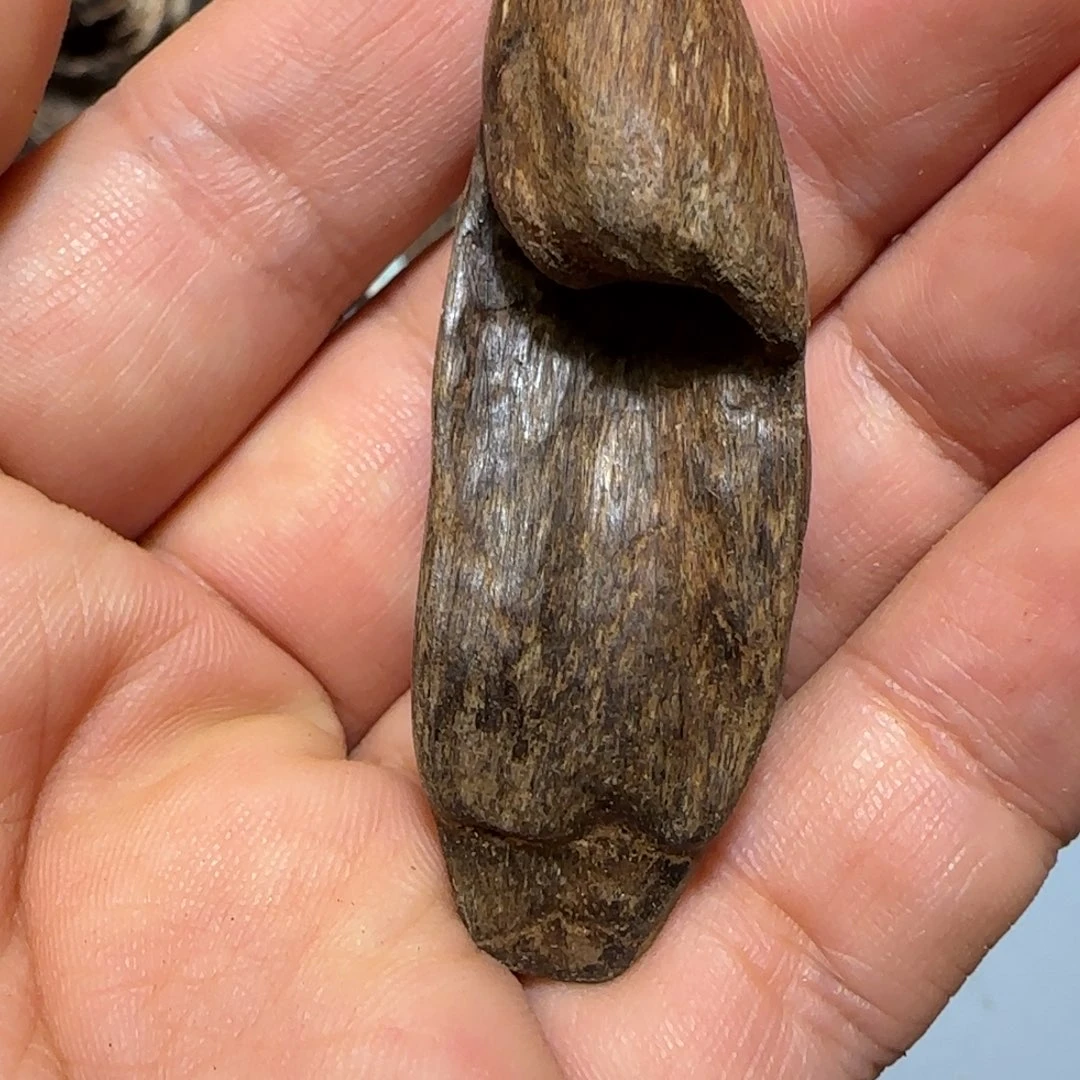 沉香碎屑沉香4.44克芽庄