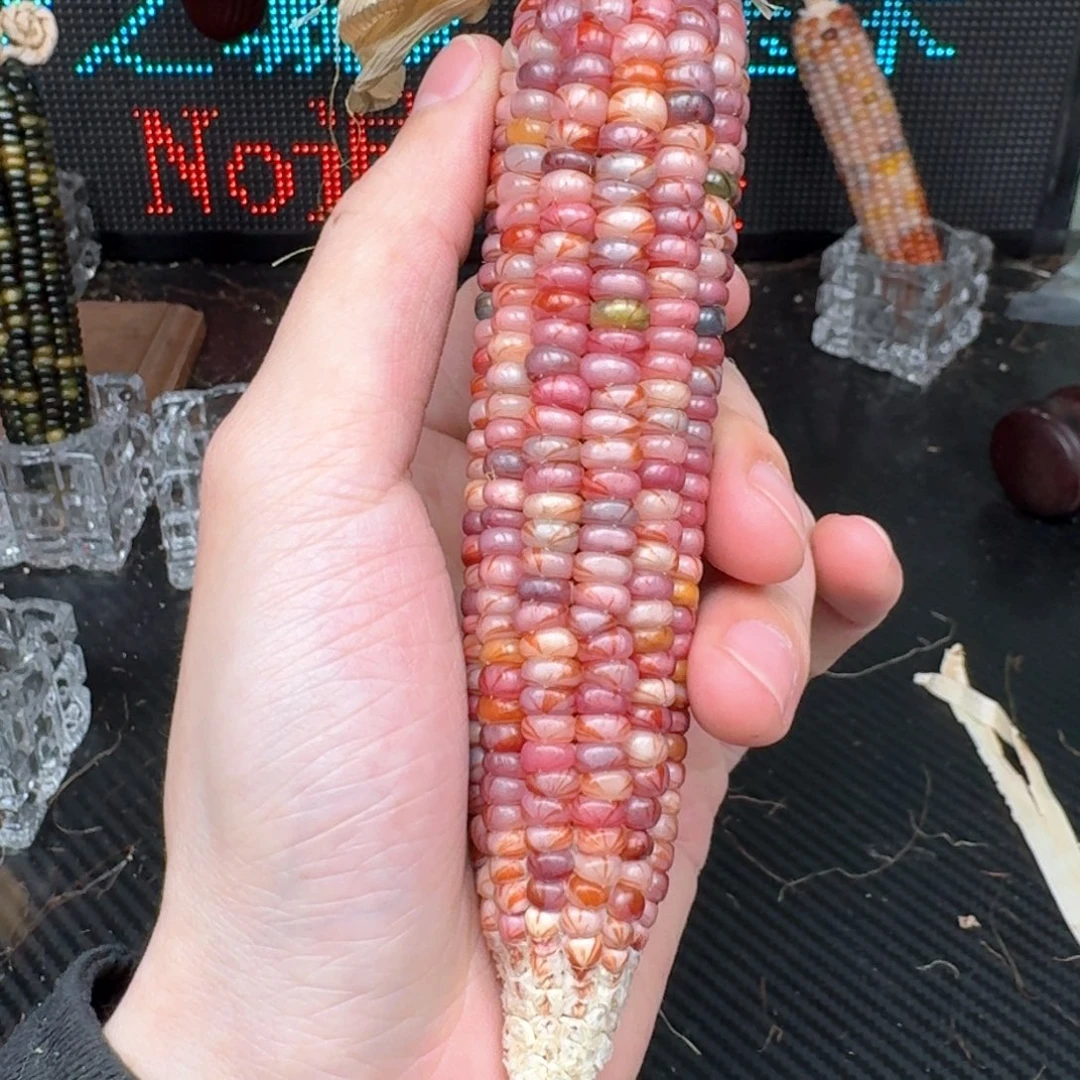 柏香籽/百香籽吊坠辰*辉