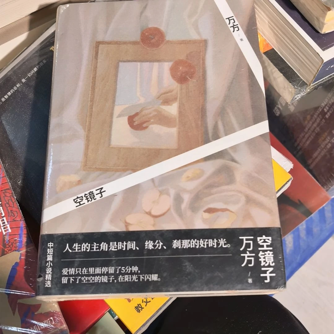 空镜子万方精装塑封全新