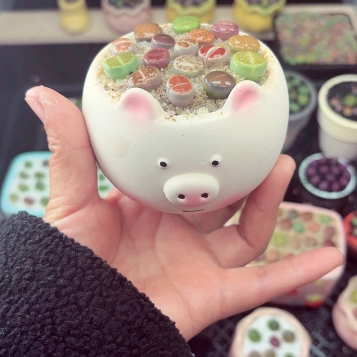 562零下地区记得拍保温箱满18包邮