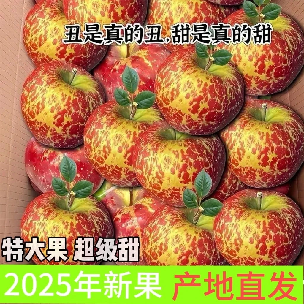【高品质果】正宗云南昭通脆甜冰糖心丑苹果当季现摘苹果产地直发