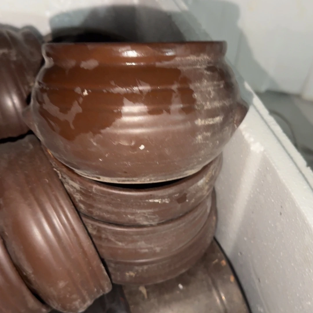 在你面前就没有任何理由对