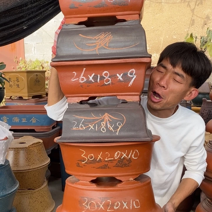 花盆紫砂紫砂特疼。。紫砂