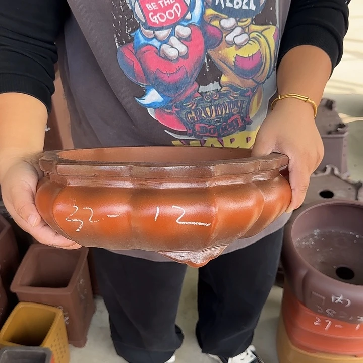 是一个充满生机盎然之