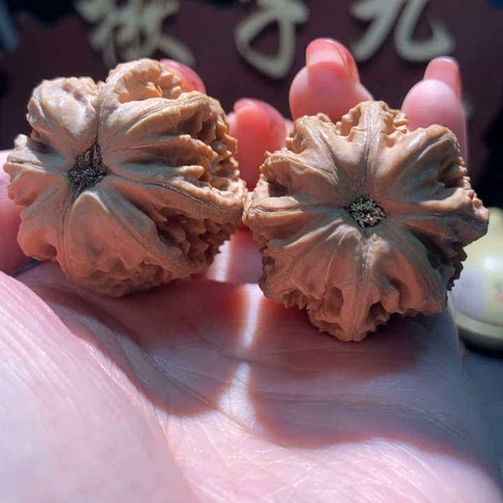 吊坠文玩核桃聚核财婉楸20