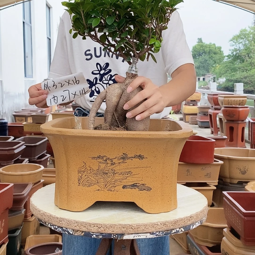 紫砂花盆紫砂花盆