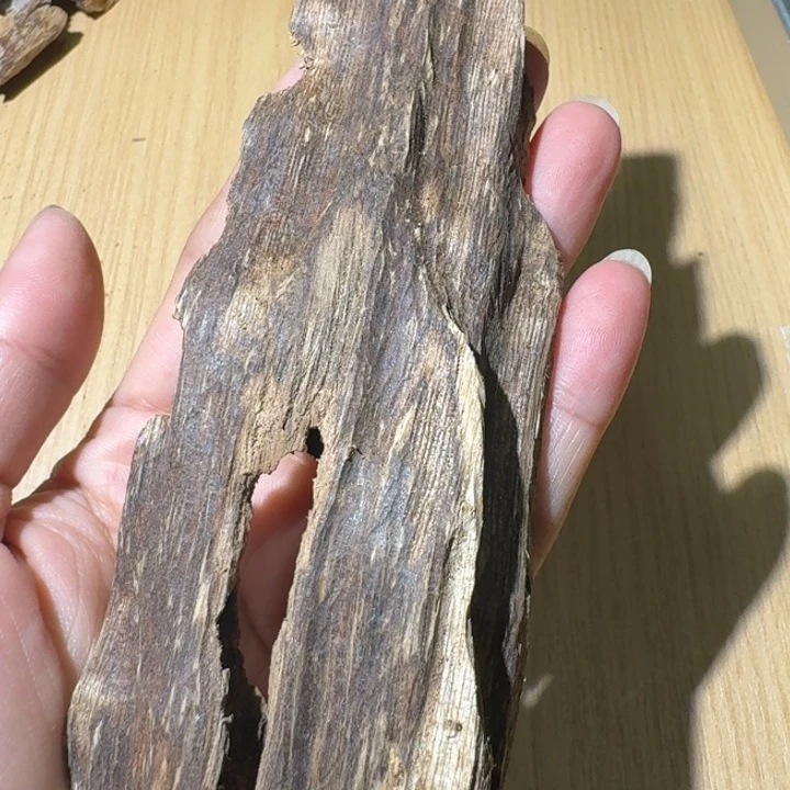 楠木薰香虫漏块料17.9克