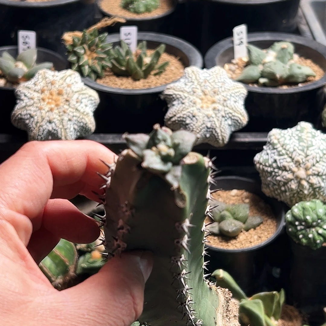 467怒涛m m m m m m m m m m m