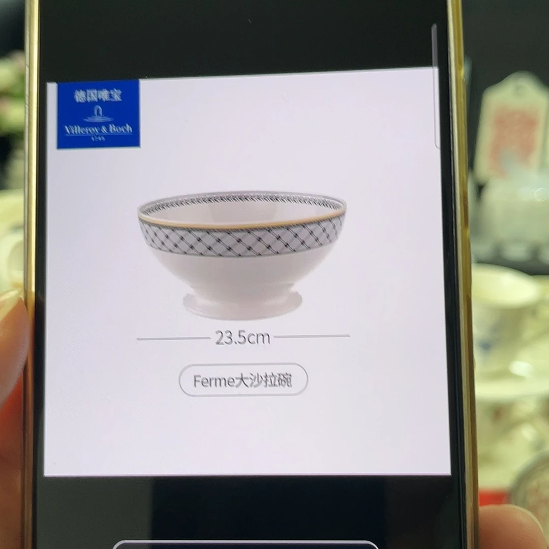 德国唯宝奥顿23.5碗