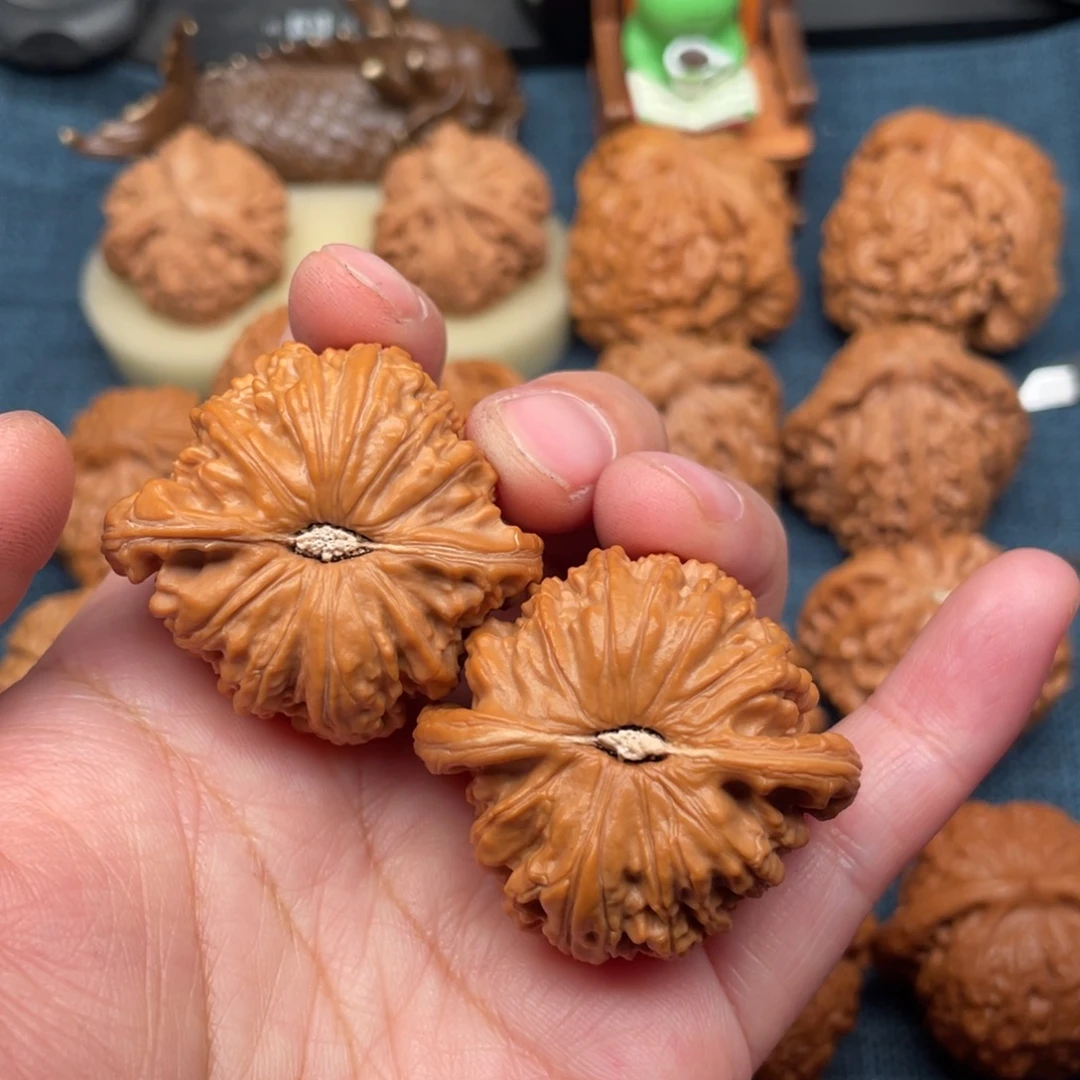 文玩核桃把件41毕业老树白狮子全品复刻底