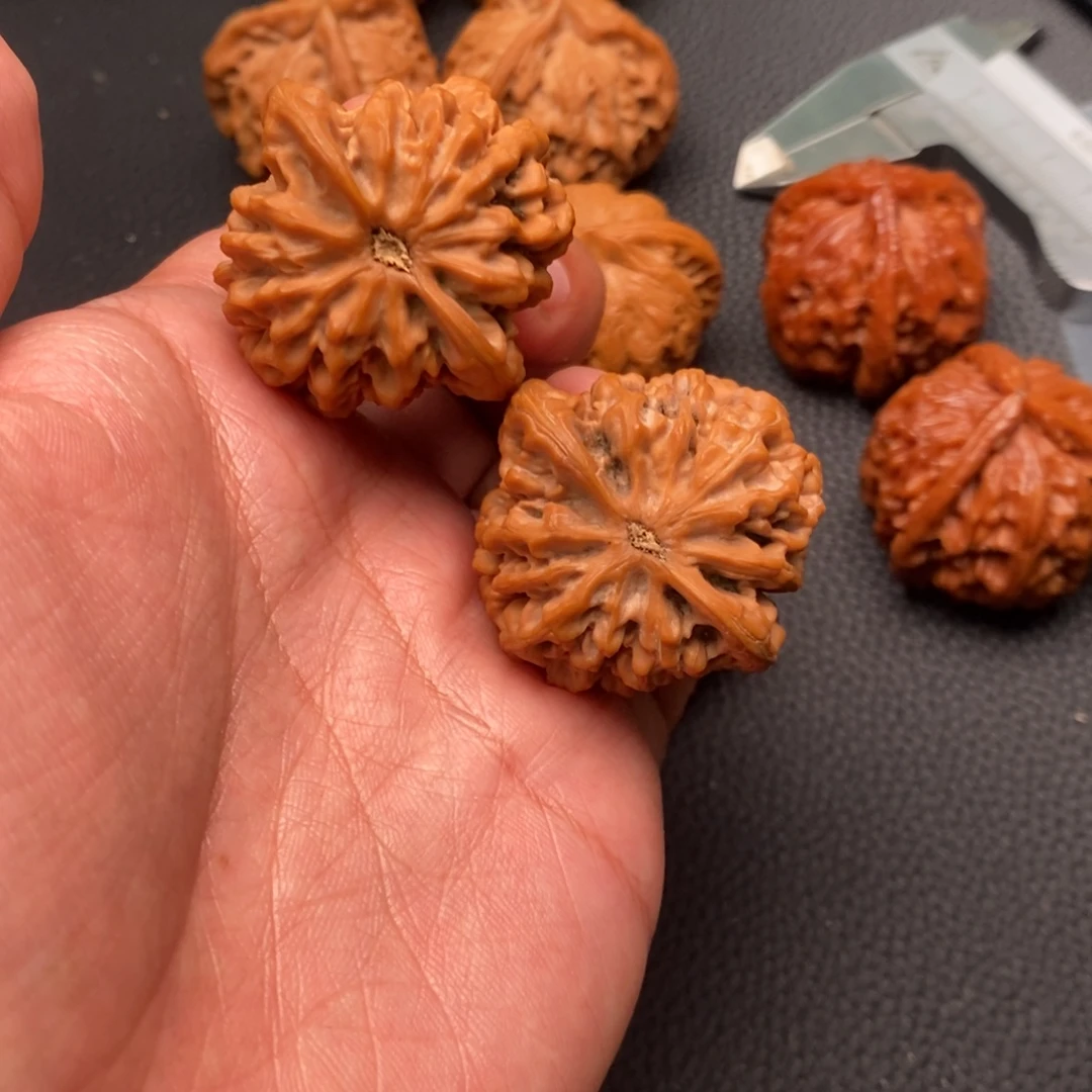 全品精配秦闷…………