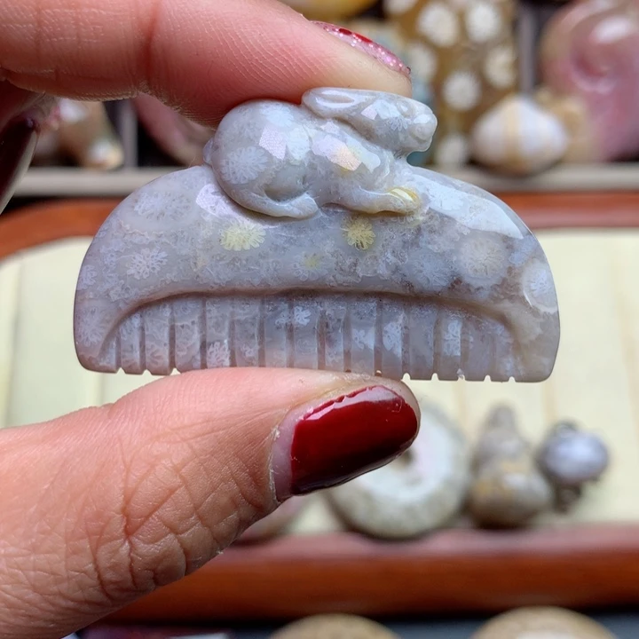 硅化珊瑚（珊瑚玉）颈饰未镶嵌