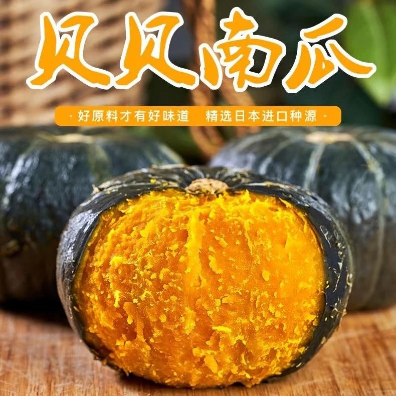 【贝贝南瓜】粉糯香甜板栗味可作宝宝辅食五斤新鲜甜粉婴儿小南瓜