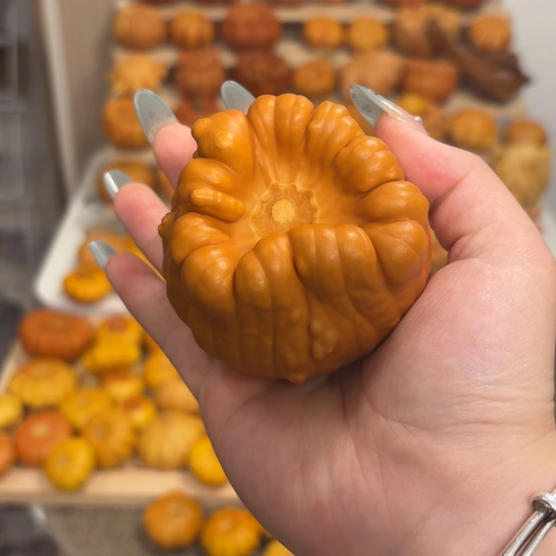 三角花口响籽聚宝盆