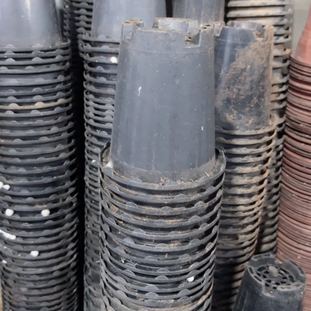 花边兰花万象盆12口径13高 20个