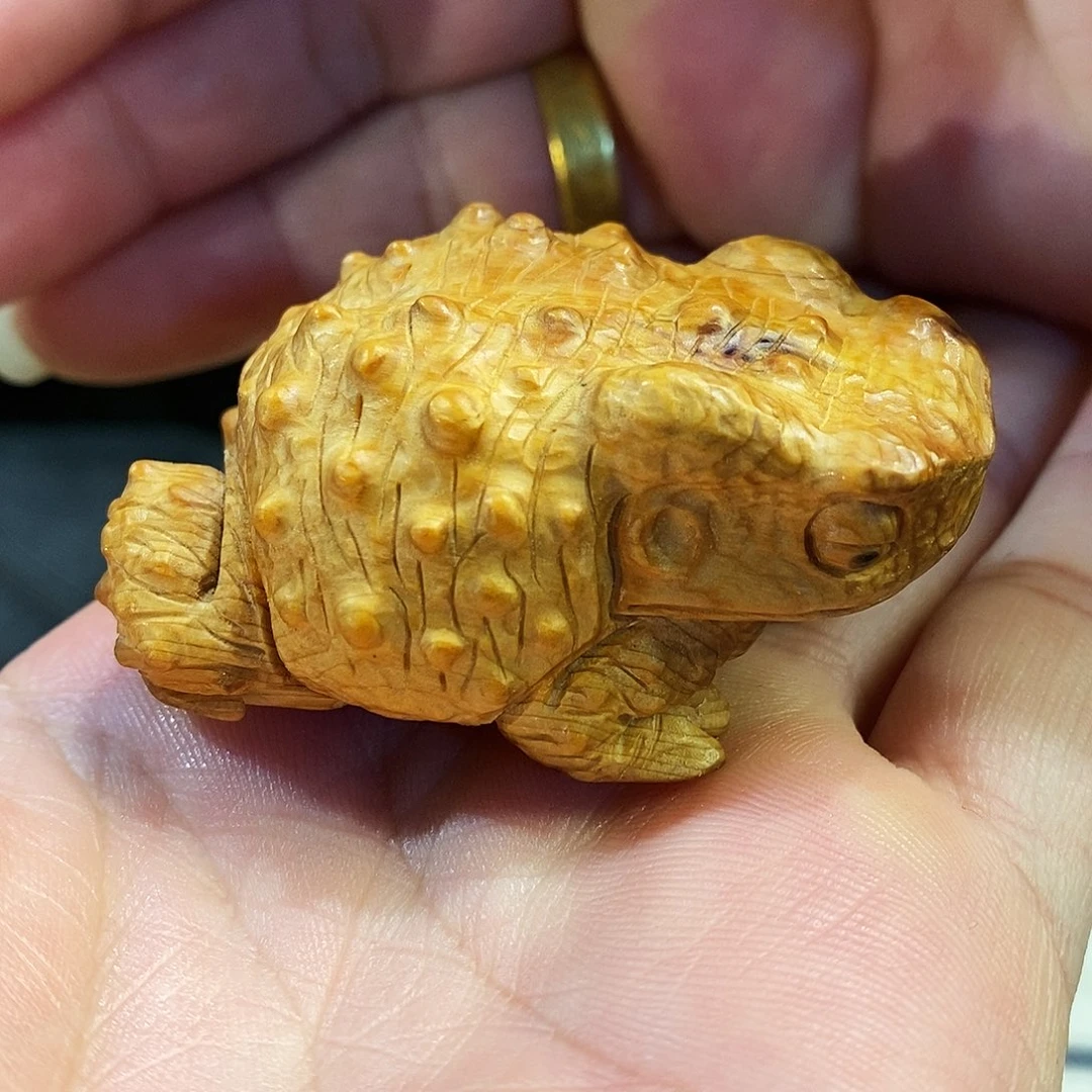 柏木（崖柏）崖柏柏木