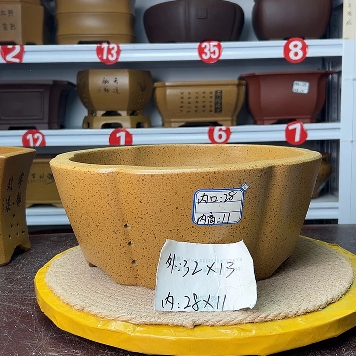 花盆紫砂蛇年大吉