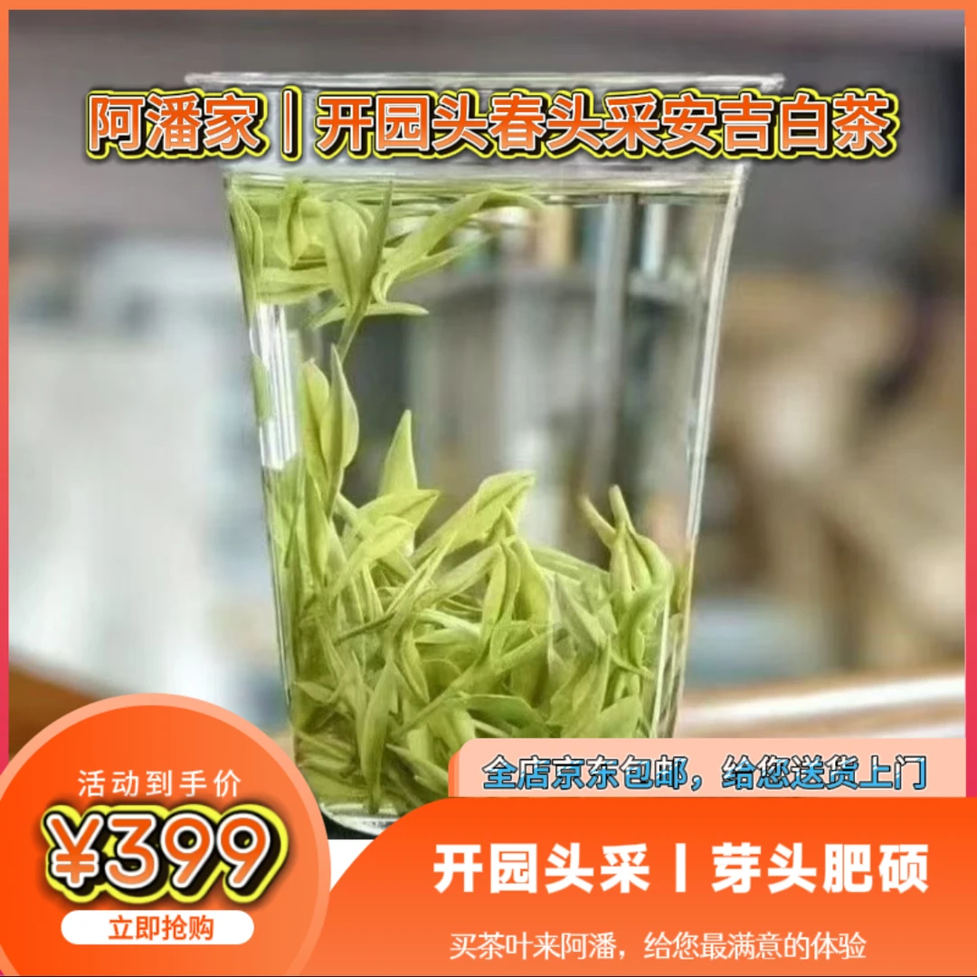 早春明前安吉特产高山浓香型新茶绿茶白茶