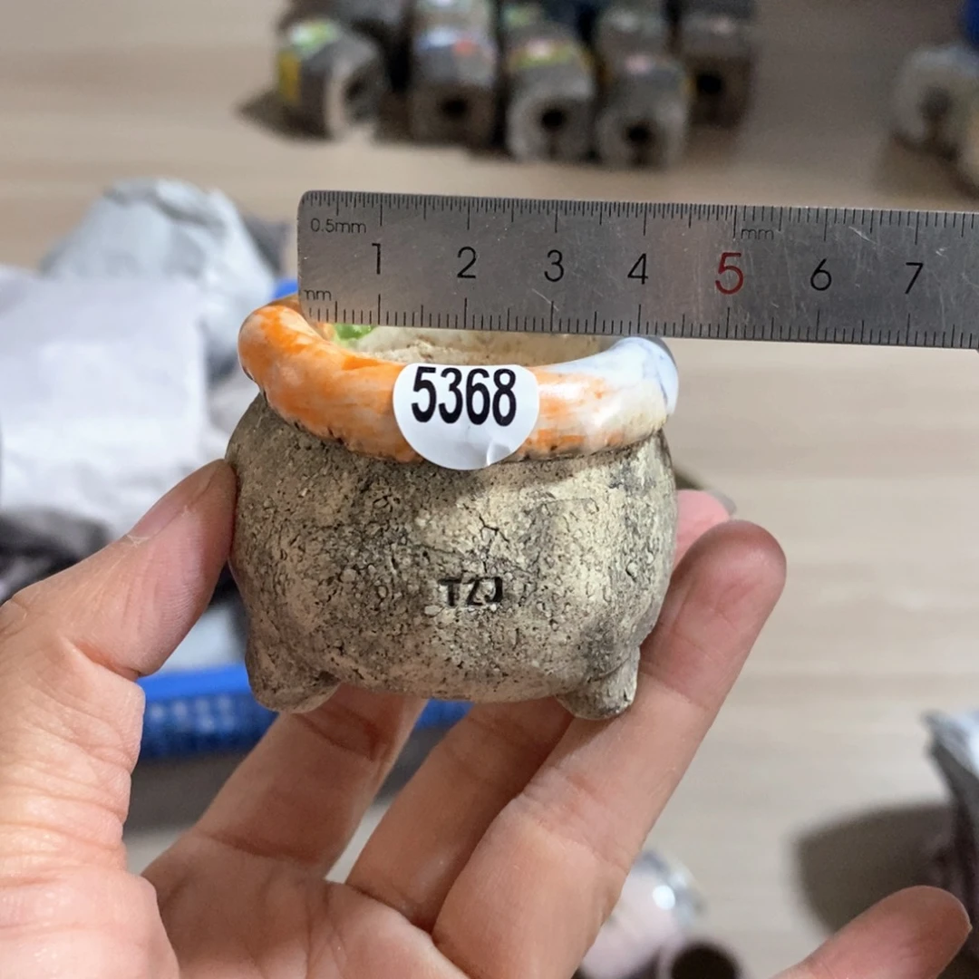 拍5送一个小礼物