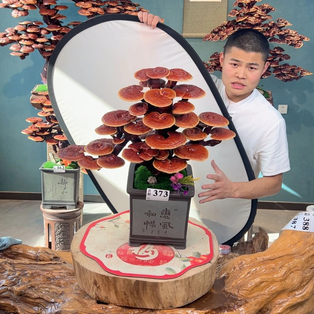 无花朵8888888888888