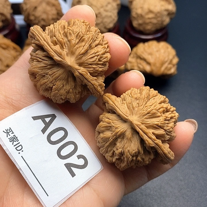 核桃楼4.4，000000