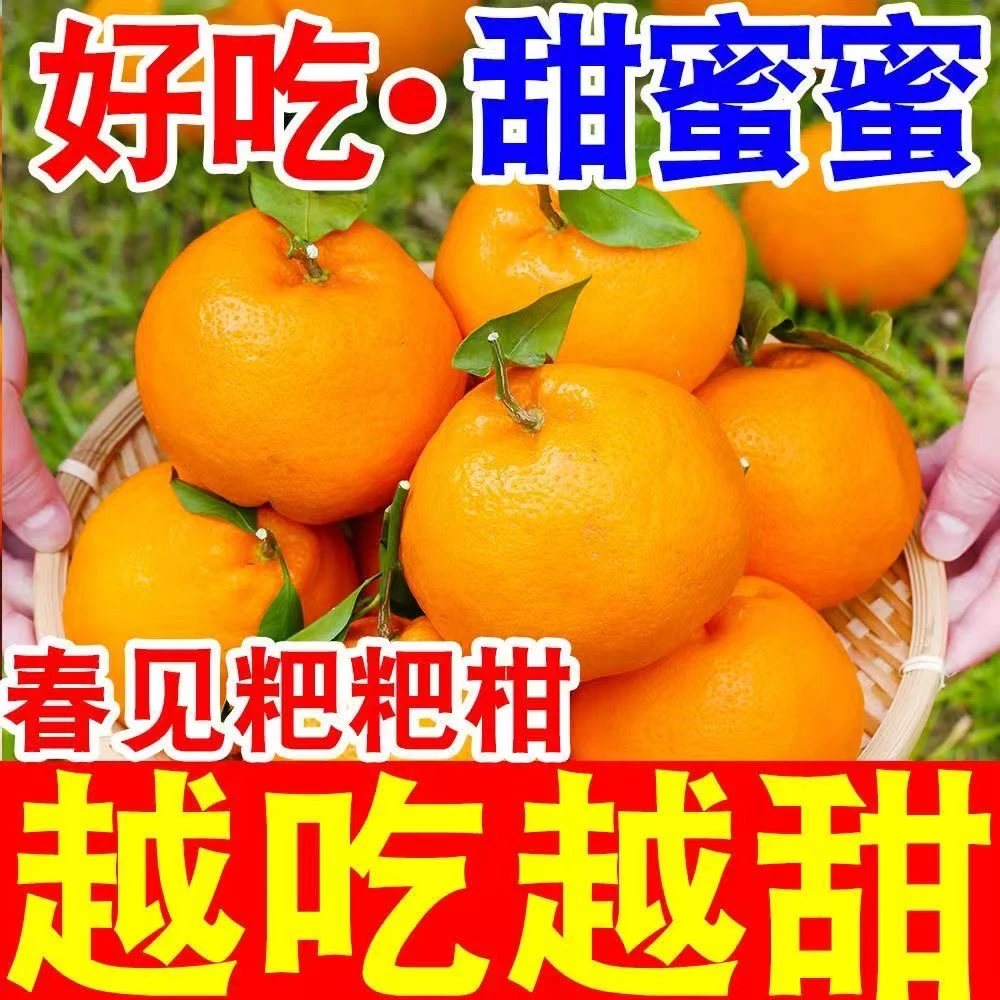 顺丰专属【正宗四川春见耙耙柑】现摘现发爆甜爆汁