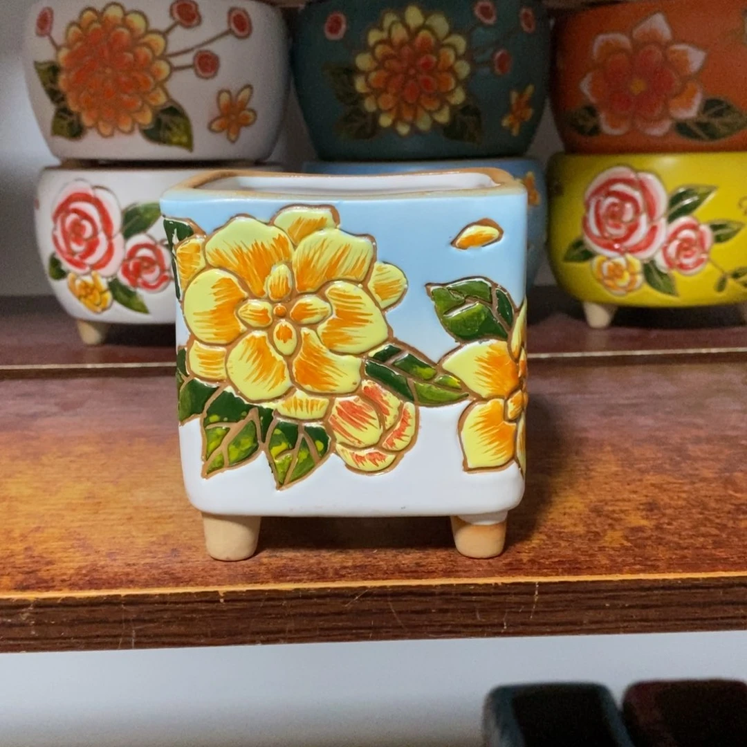 韩式多肉植物花盆