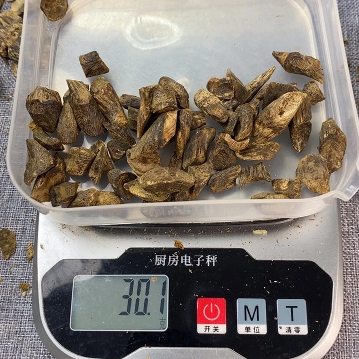 沉香沉香碎屑树丁