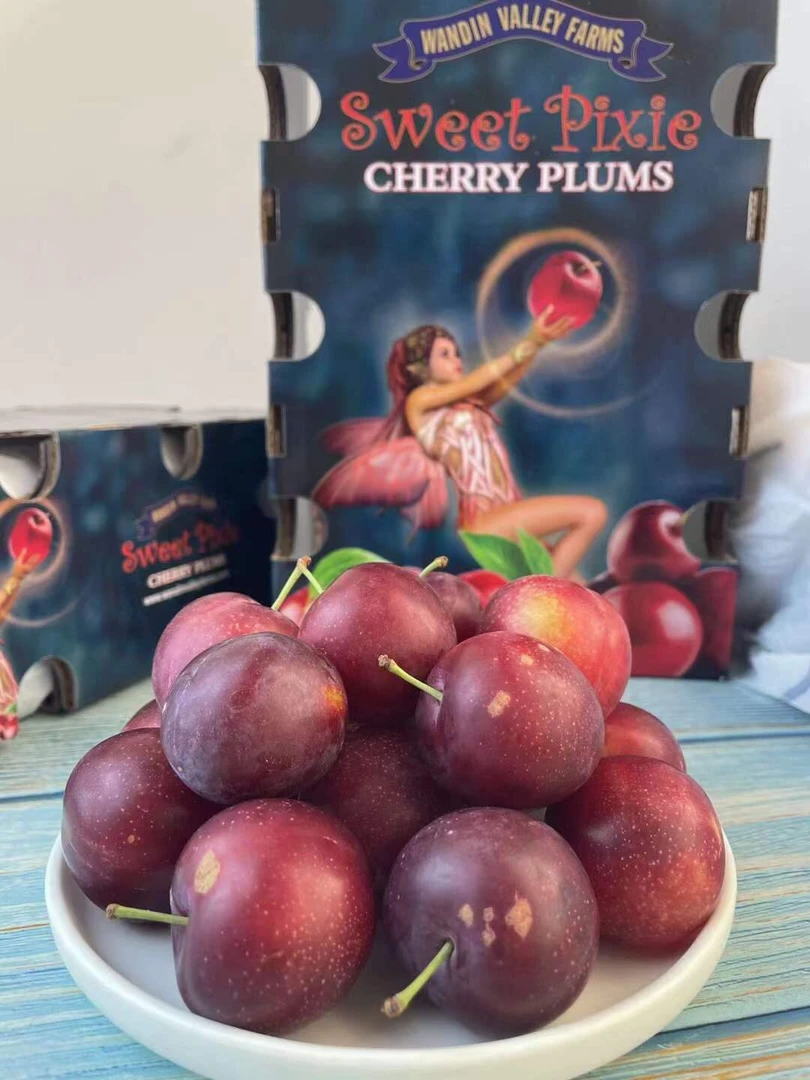 当季澳洲樱桃李1-4斤装进口纯甜多汁李子新鲜孕妇水果发顺丰空运