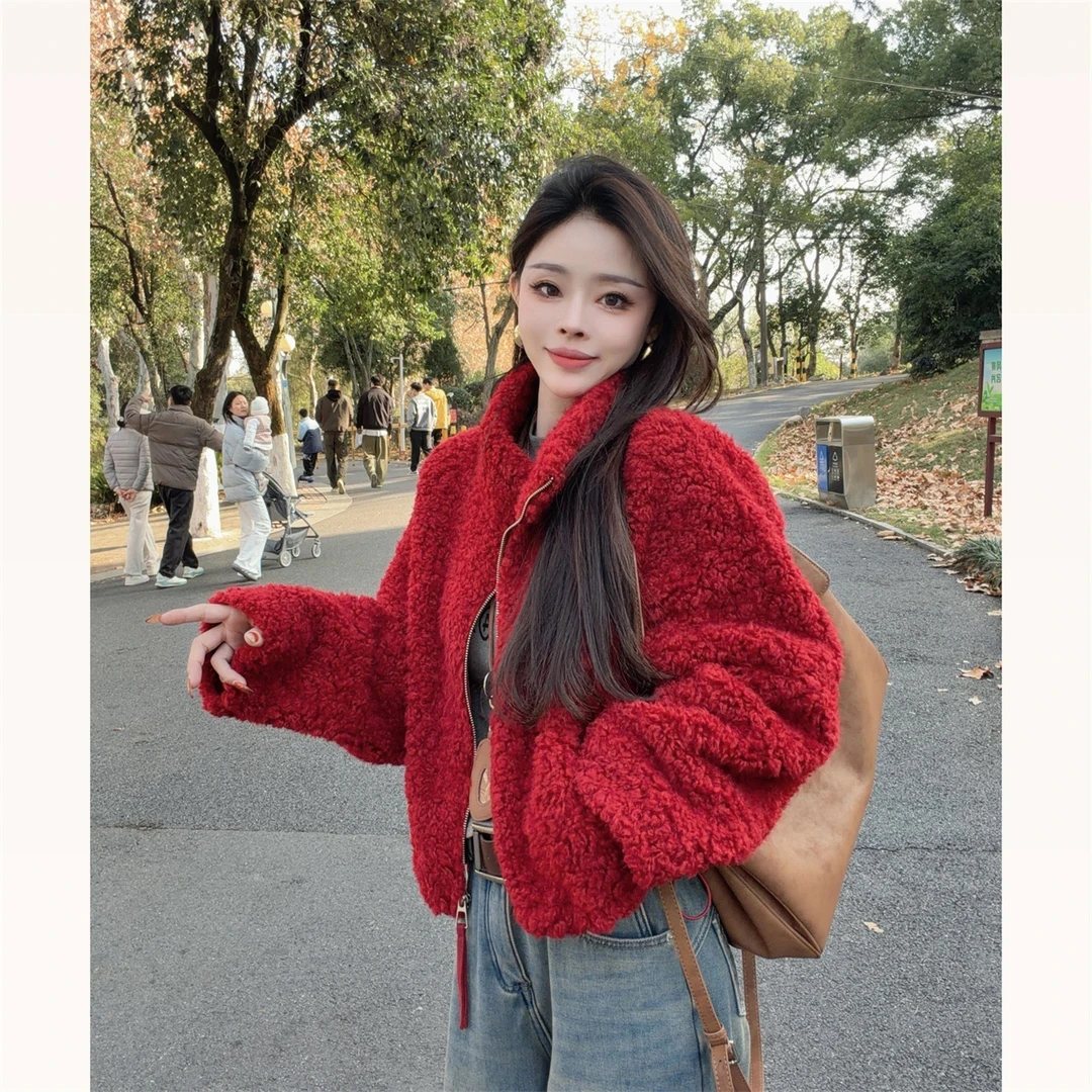 厚款名媛淑女风气质立领宽松小个子毛绒外套短款加绒加厚女冬季