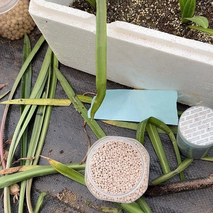 恩怡自用咖色复合肥2500克一份