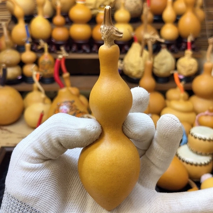 粗嘴蚂蚁肚厚皮响籽4