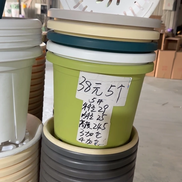 微瑕5#口径29无托果绿10个