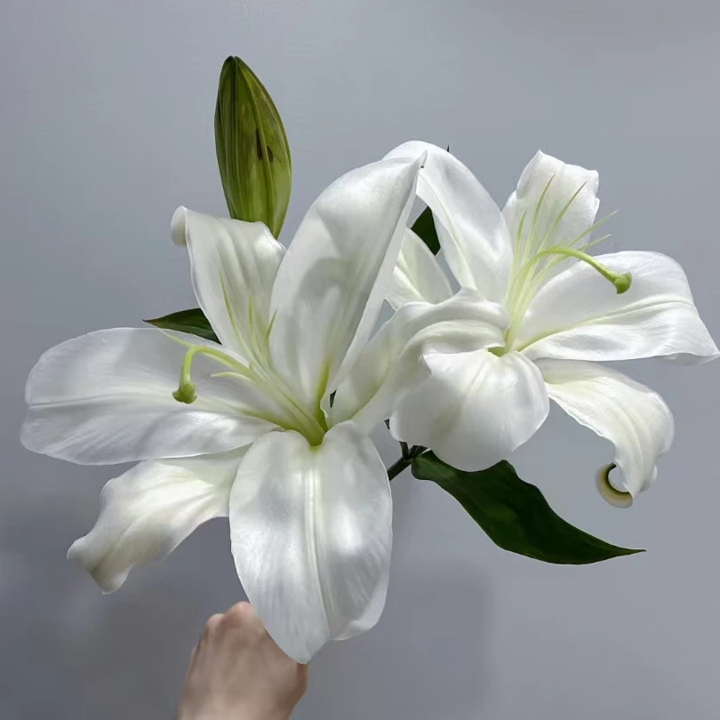 白水晶【白色系单瓣百合】两单花材升级快递