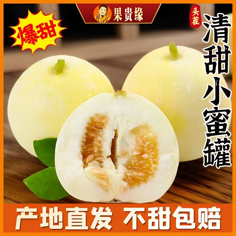 【超甜】应季头茬新鲜小蜜蜂蜜罐甜瓜蜜甜味道爆汁美味采摘直供水果