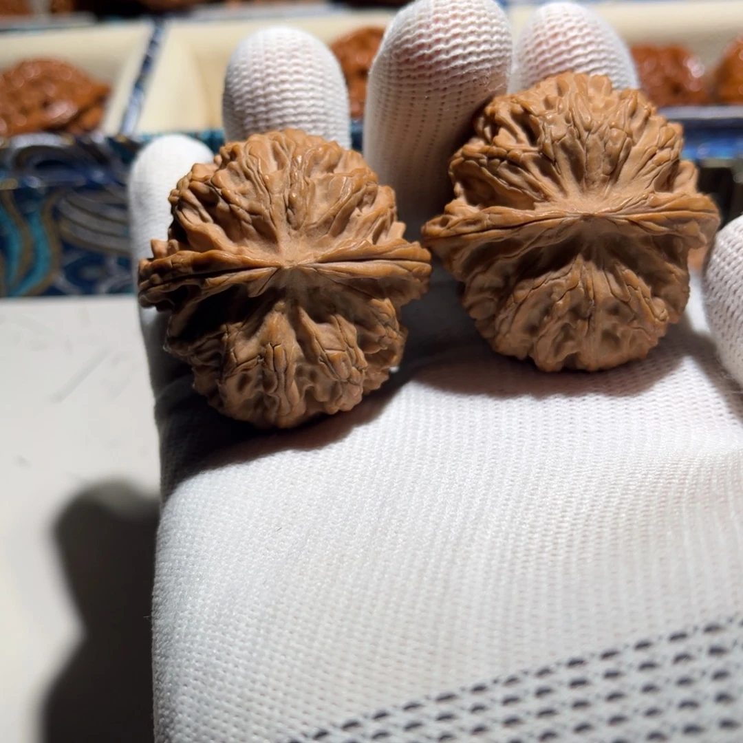 元***文玩核桃把件平果园42矮壮大肚