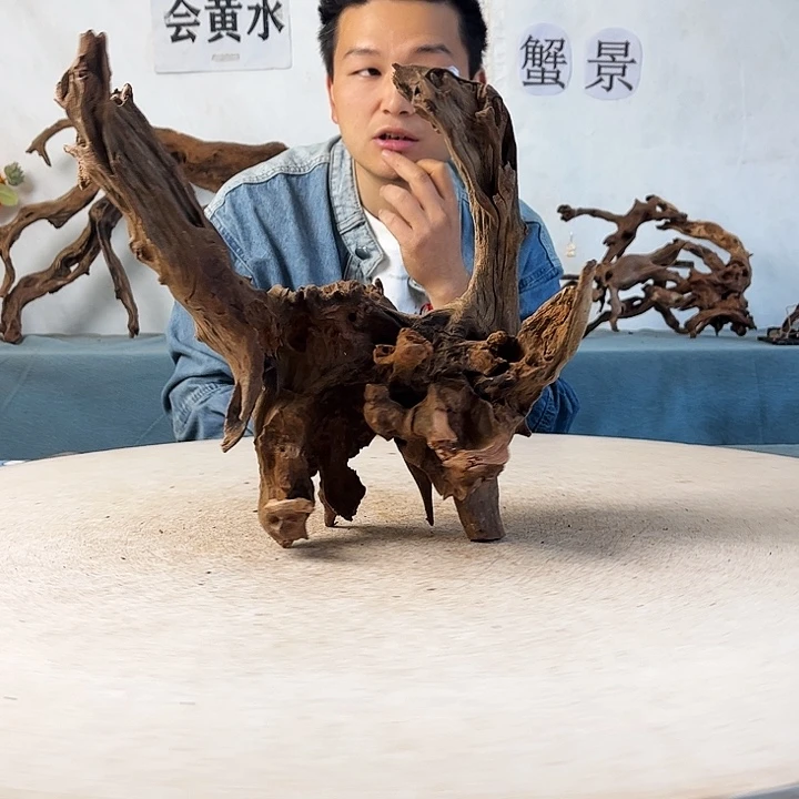 新年快乐沉木造景