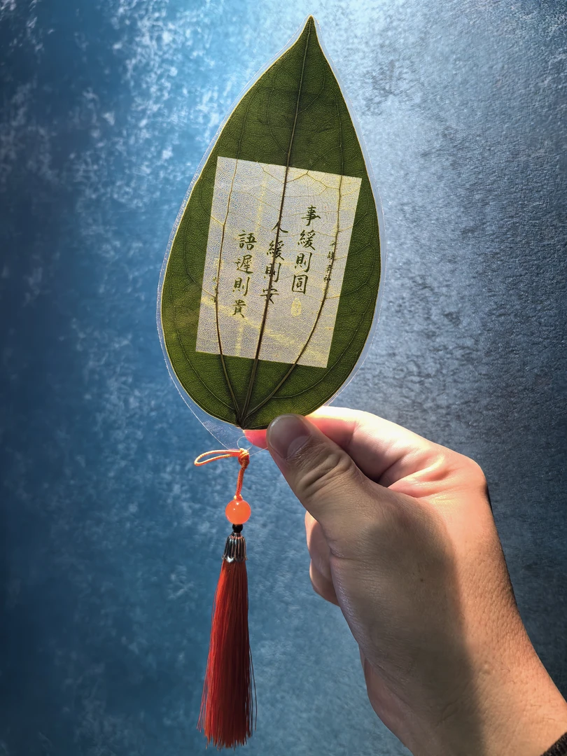 粉丝福利，5级粉丝仅邮费，可定制图片的叶雕