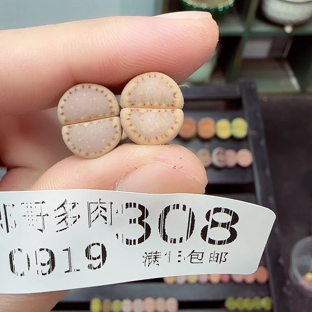 听****满满18包邮0919-308